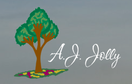aj jolly