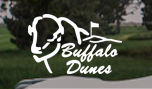 buffalo dunes