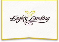 eagles landing