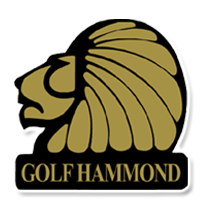 hamond