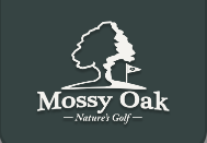 mossy