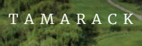 tamarack