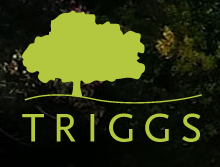 triggs