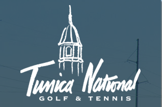 tunica