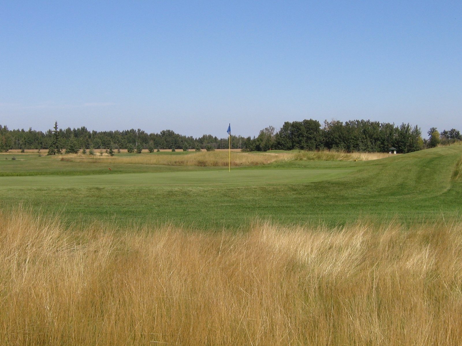 Golf test course again — photo 2