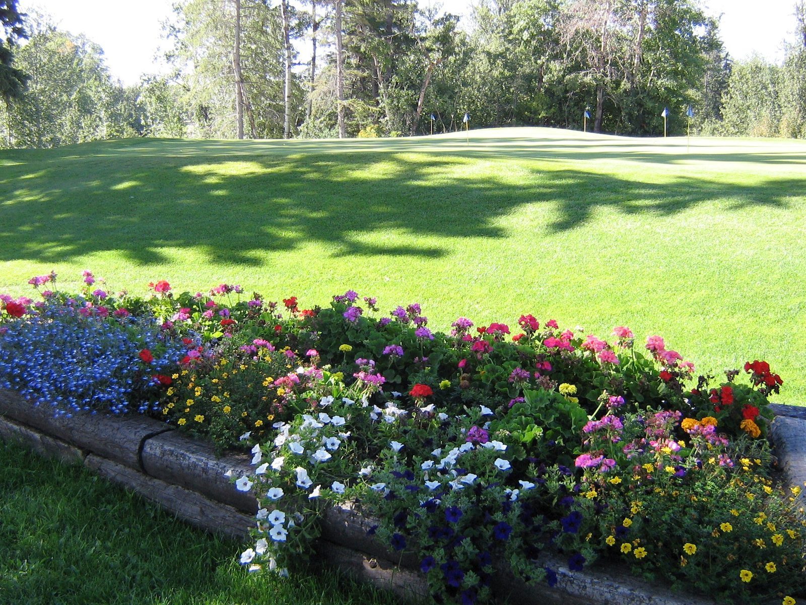 Golf test course again — photo 3