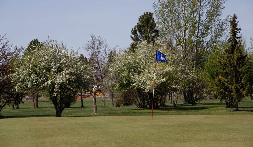Fox Run Golf Course — photo 3