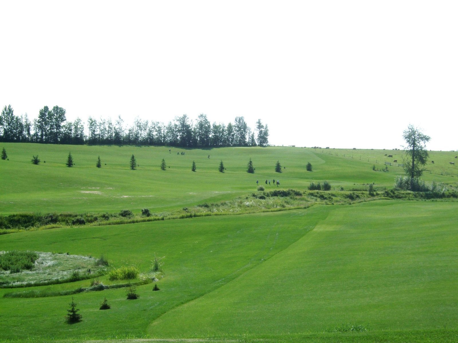 Hidden Valley Golf Club — photo 3
