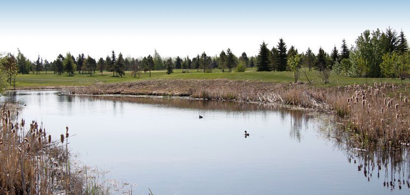 Fox Run Golf Course — photo 1