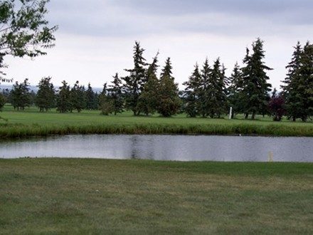 Fort-In-View Golf & Driving — photo 3