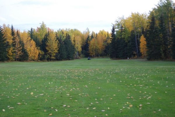 Grovedale Golf & Country Club — photo 2