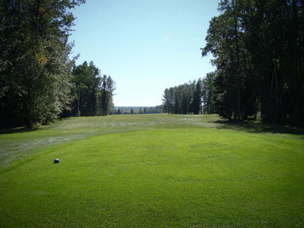 Raven Meadows Golf Resort — photo 4