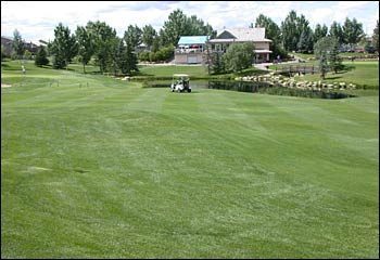 Harvest Hills Golf Course — photo 1