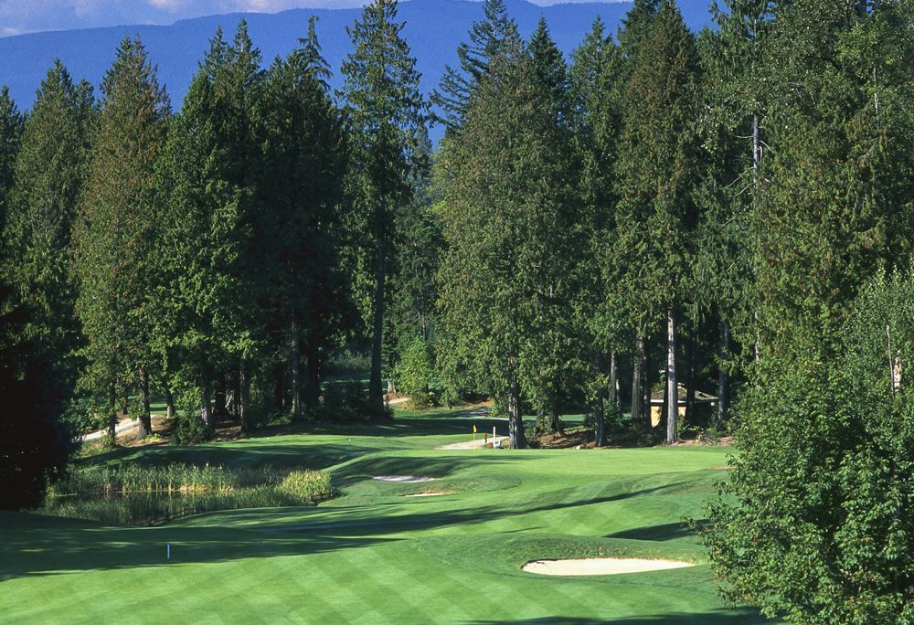 Redwoods Public Golf Course — photo 2