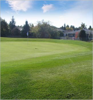 Mill Woods Golf Course — photo 2