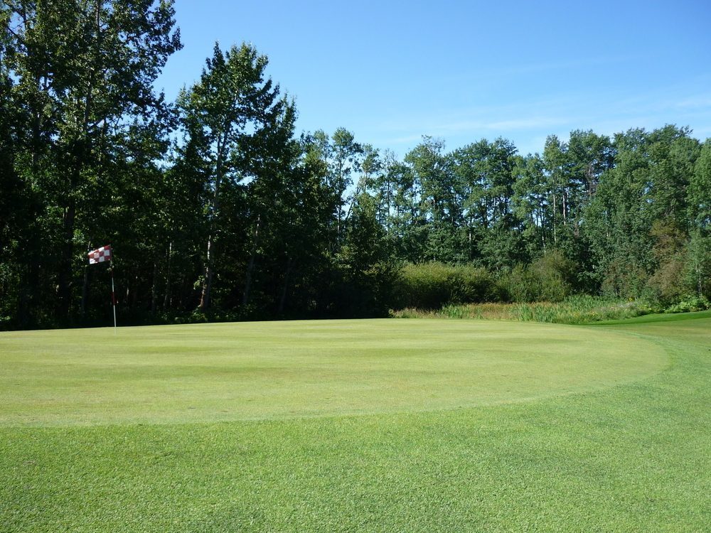 Miquelon Hills Golf Course — photo 2