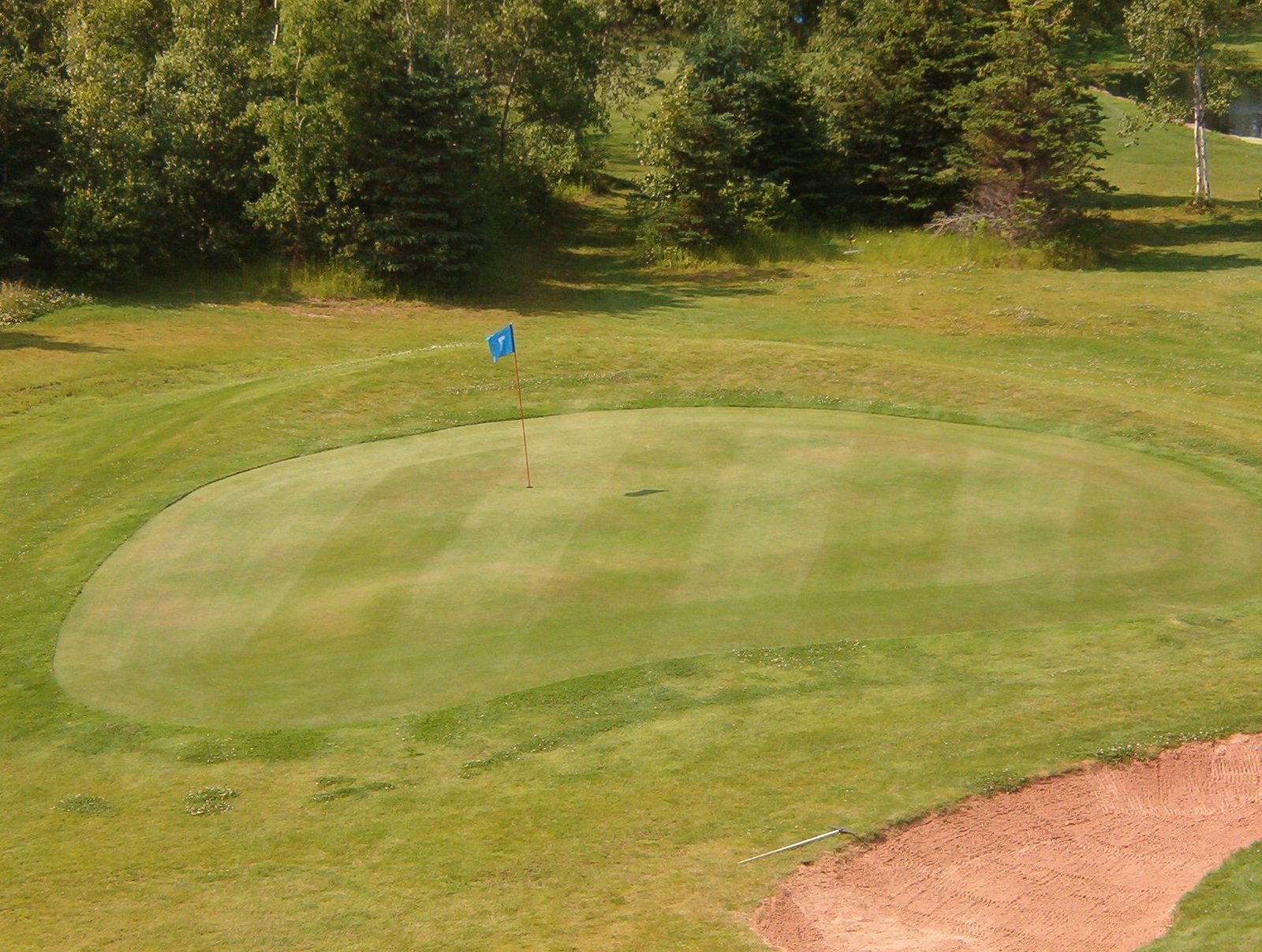 Darnley Greens Golf Course — photo 4