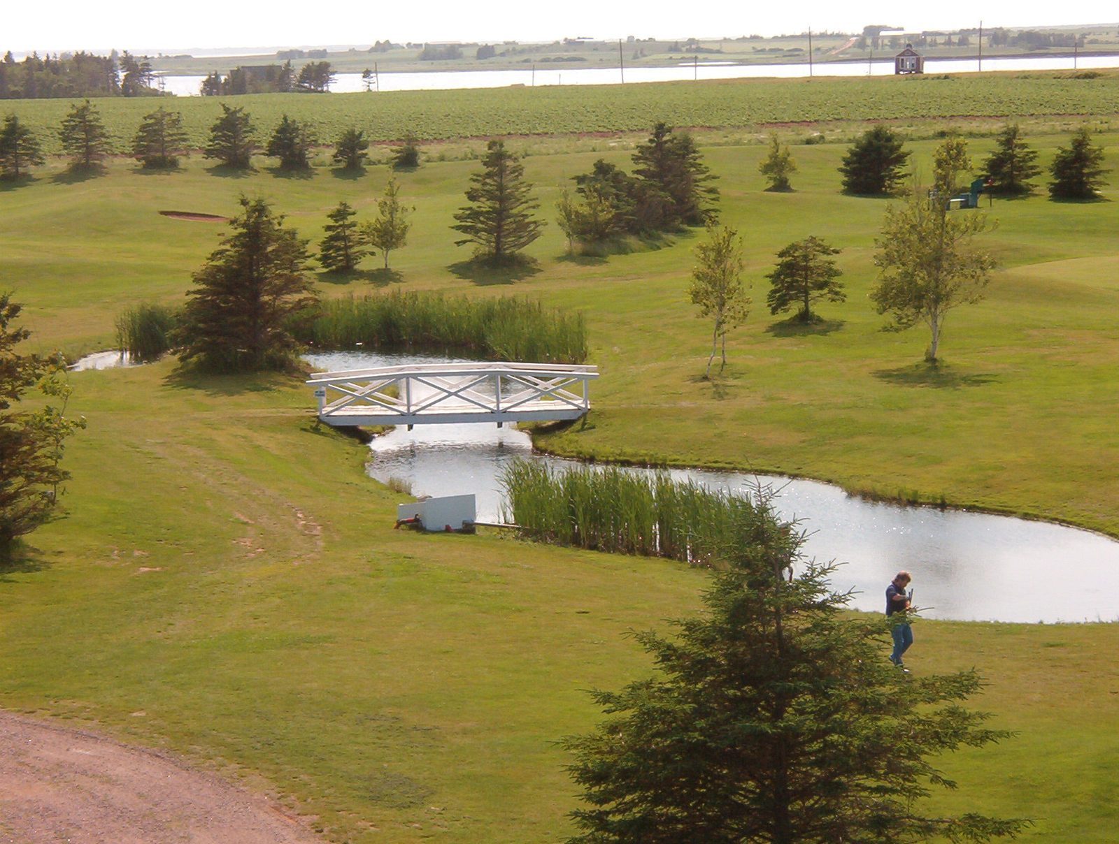 Darnley Greens Golf Course — photo 3