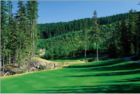 Play Golf BC — photo 4