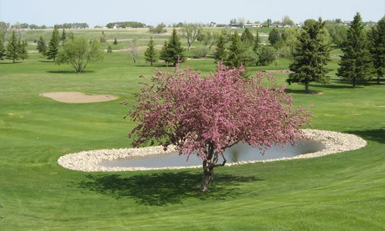 Magrath Golf Club — photo 1