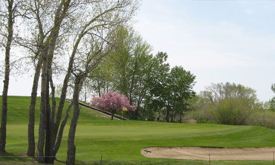 Magrath Golf Club — photo 2