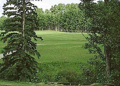 Caroline & District Golf Course — photo 1