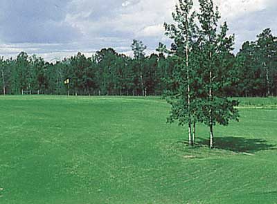 Caroline & District Golf Course — photo 2