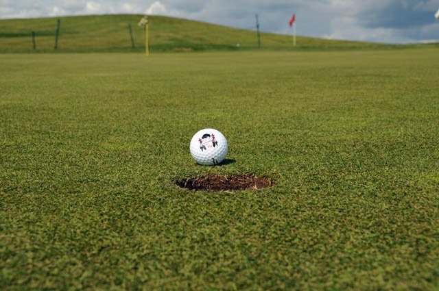 Buffalo Run Golf Course — photo 1