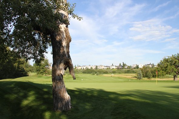 McKenzie Meadows Golf Club — photo 3