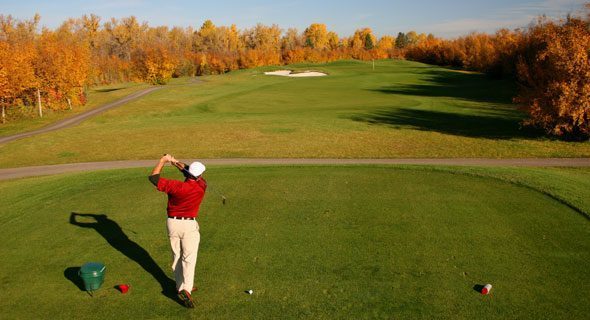 McKenzie Meadows Golf Club — photo 4