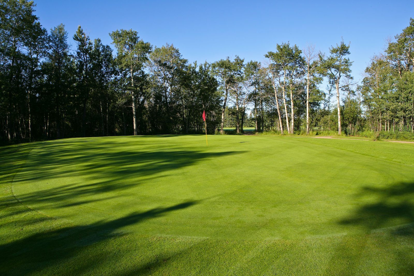 Morningview Park Golf Course — photo 2