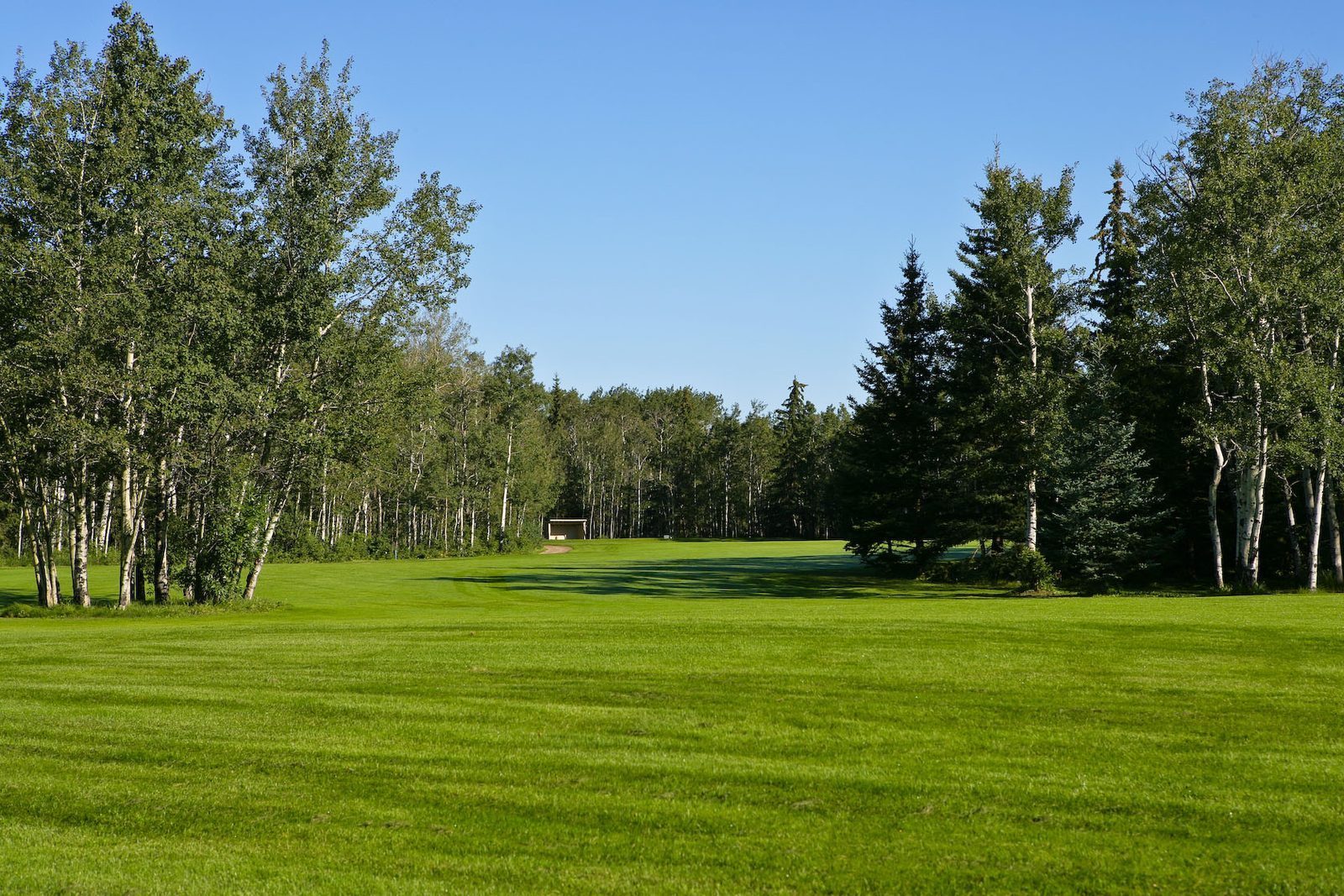 Morningview Park Golf Course — photo 3
