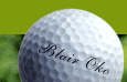 Blair Oko Golf Academy — photo 3