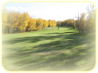 Indian Lakes Golf Club — photo 2
