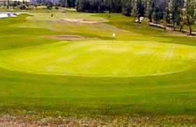Sandpiper Golf & Country Club — photo 2