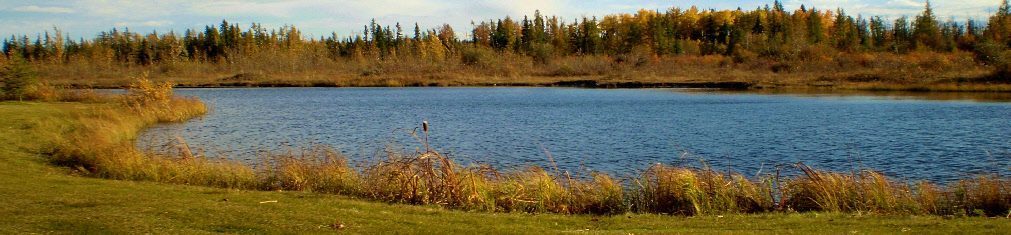 Edmonton Springs Golf Resort — photo 3